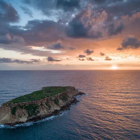 Irene Palace 파포스